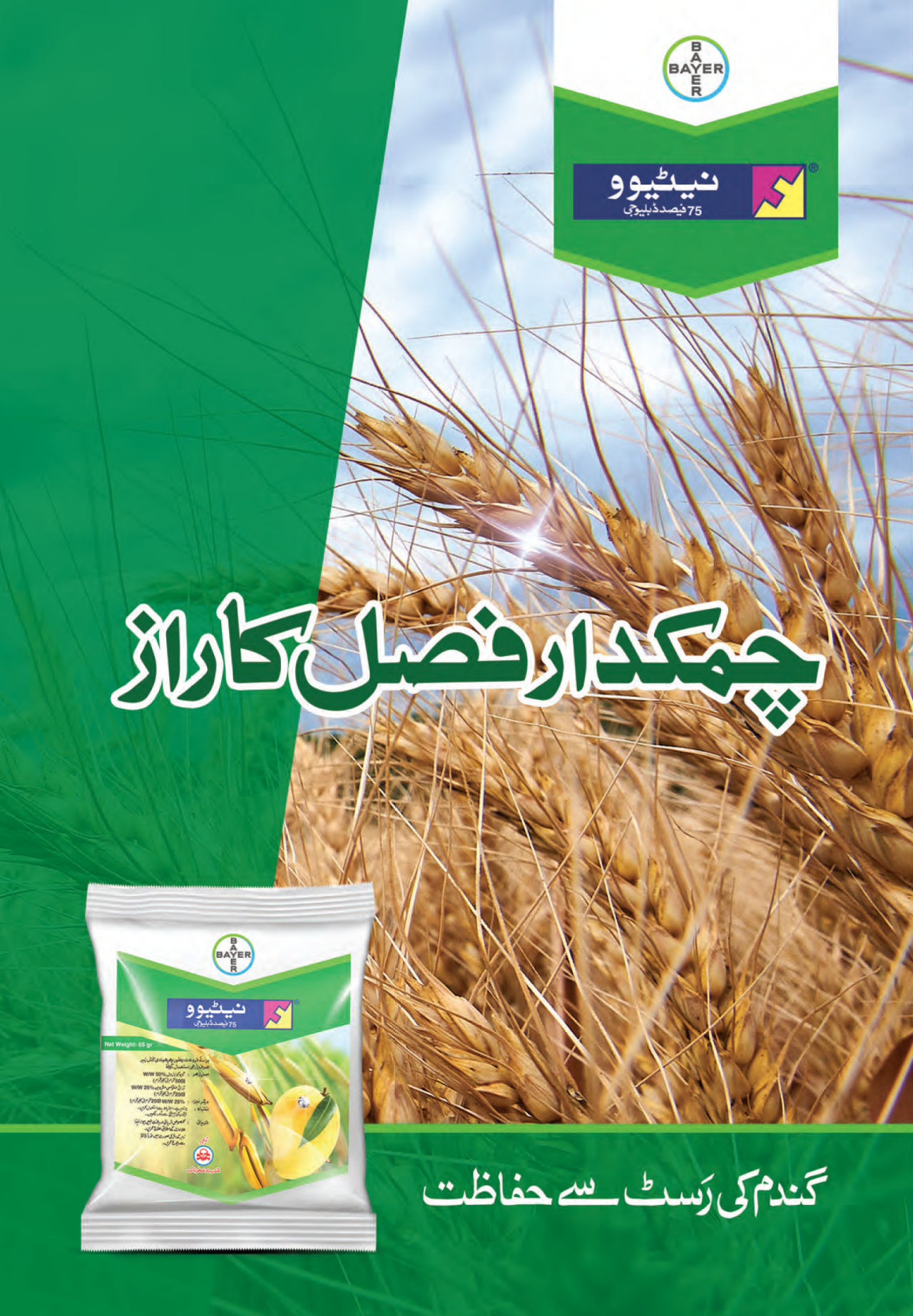 alion product label