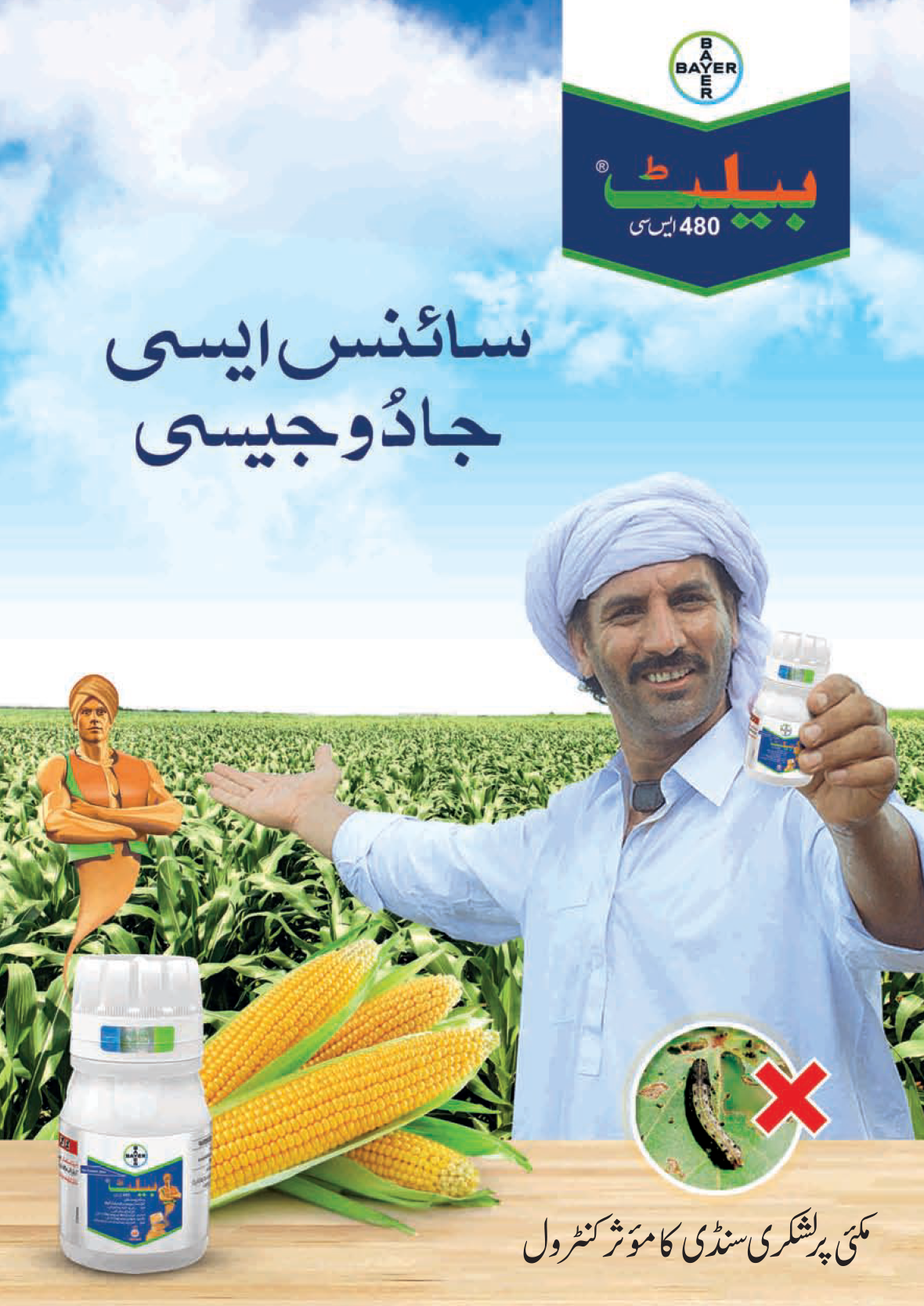 Belt Corn