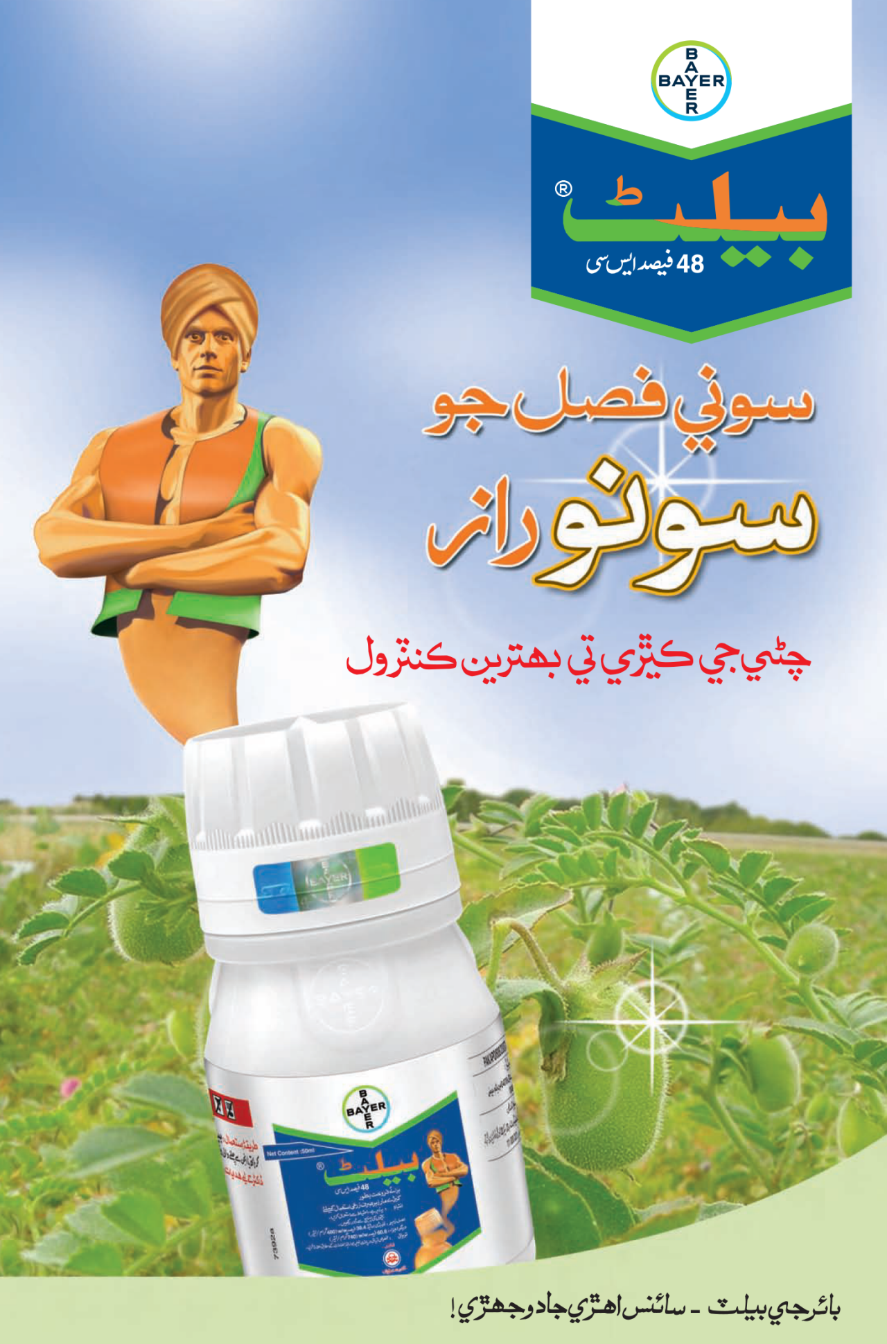 Belt Gram
