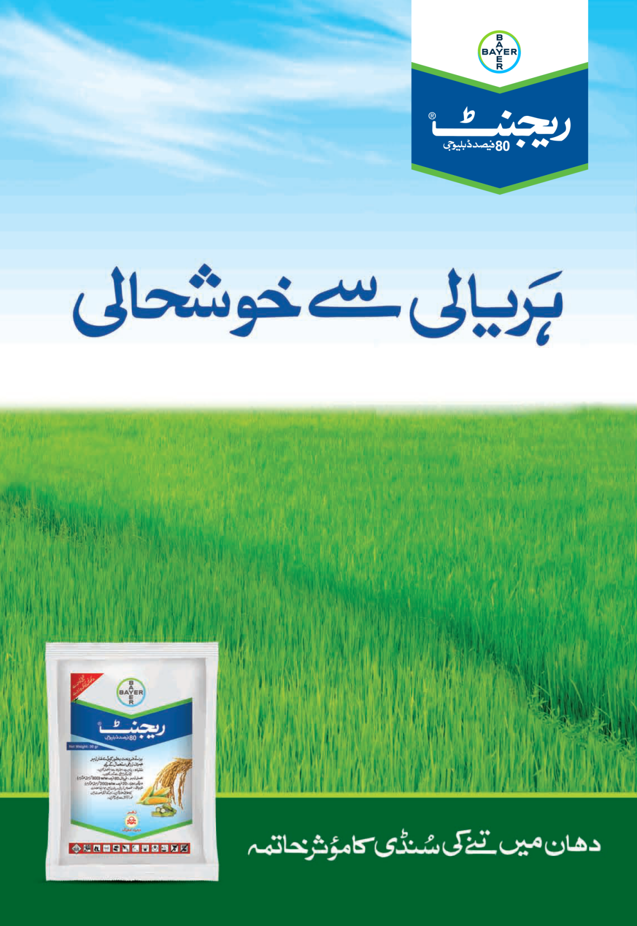 Regent Rice