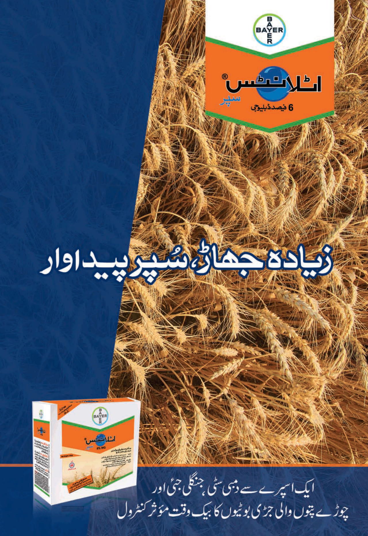 Leaflet_Atlantis Super