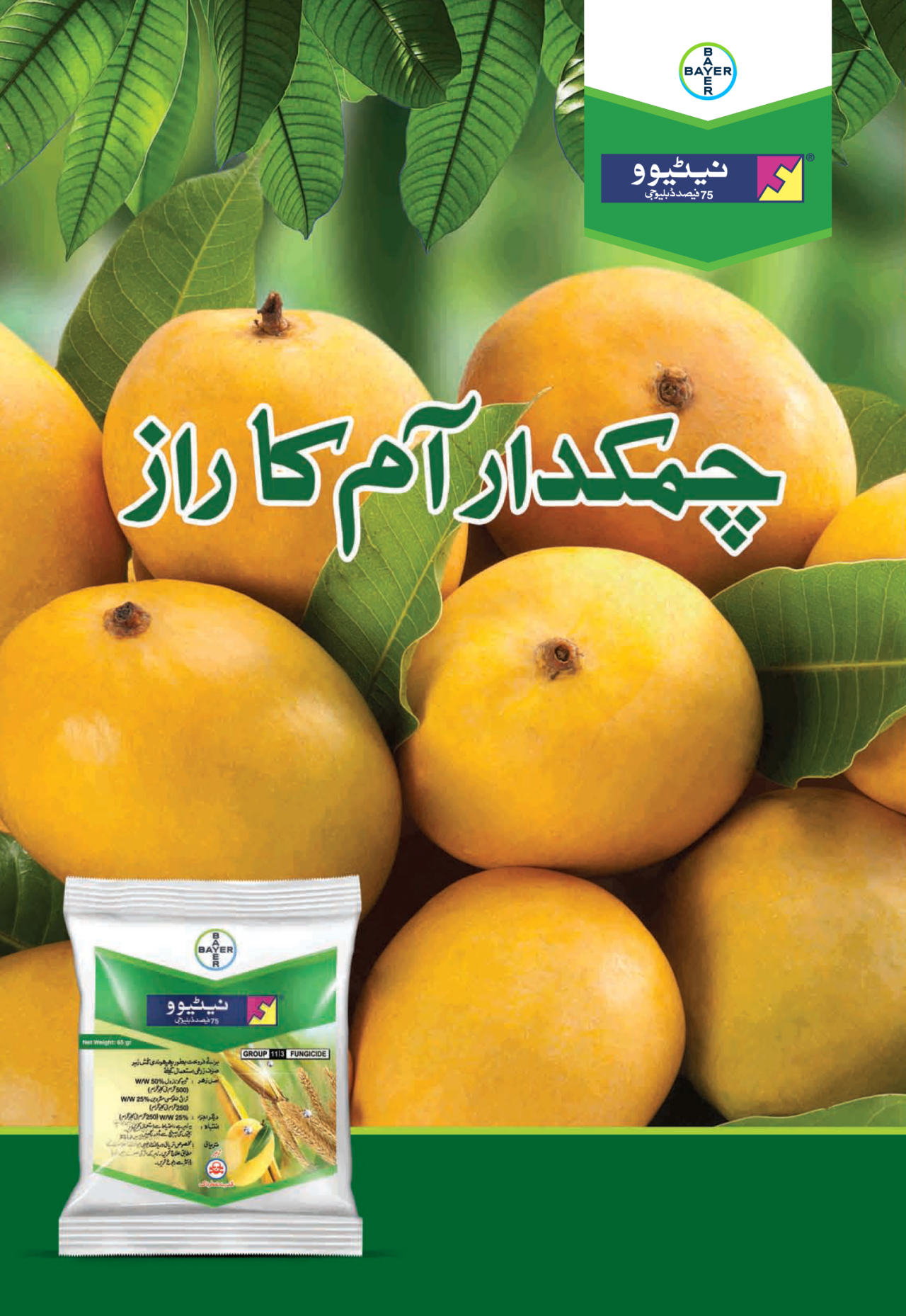 Nativo Mango