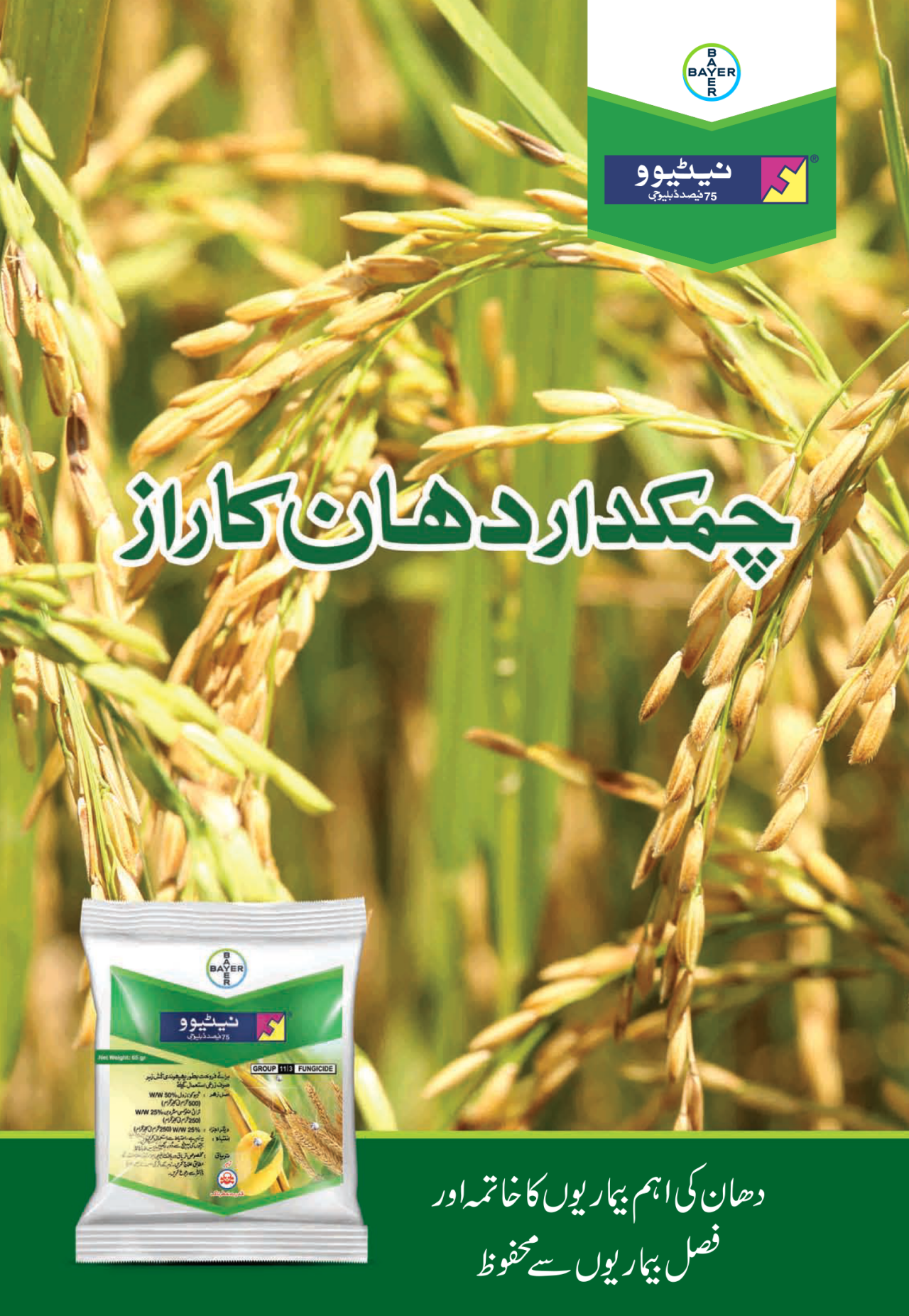 Nativo Rice