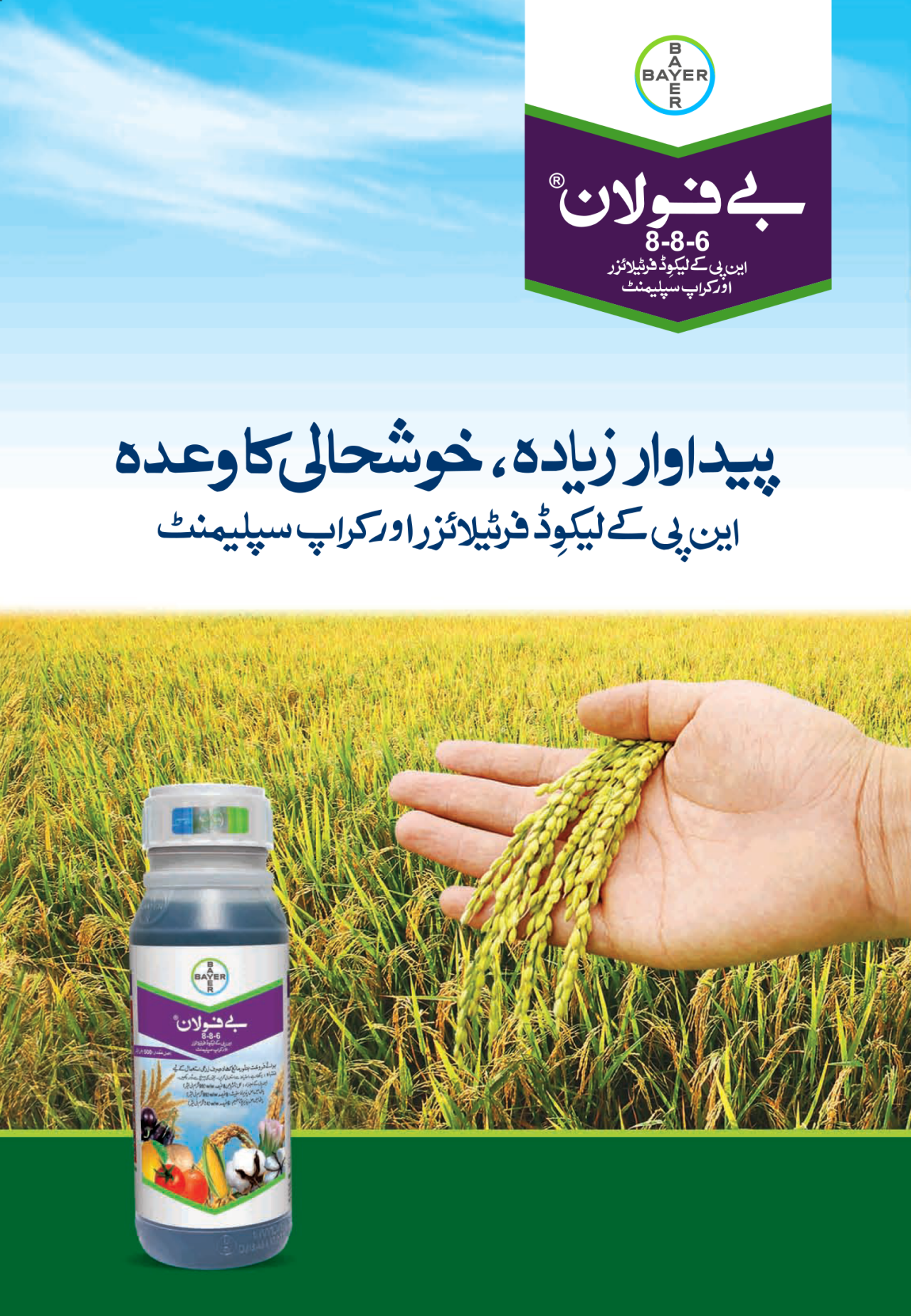 Bayfolan Rice