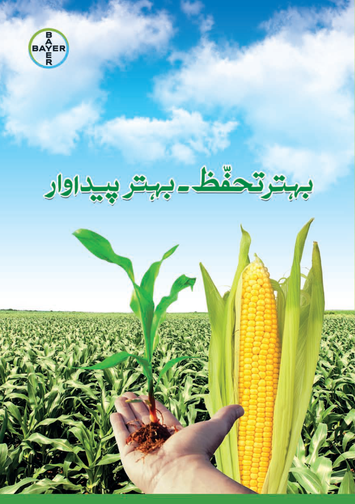 Maize Booklet 21 AW