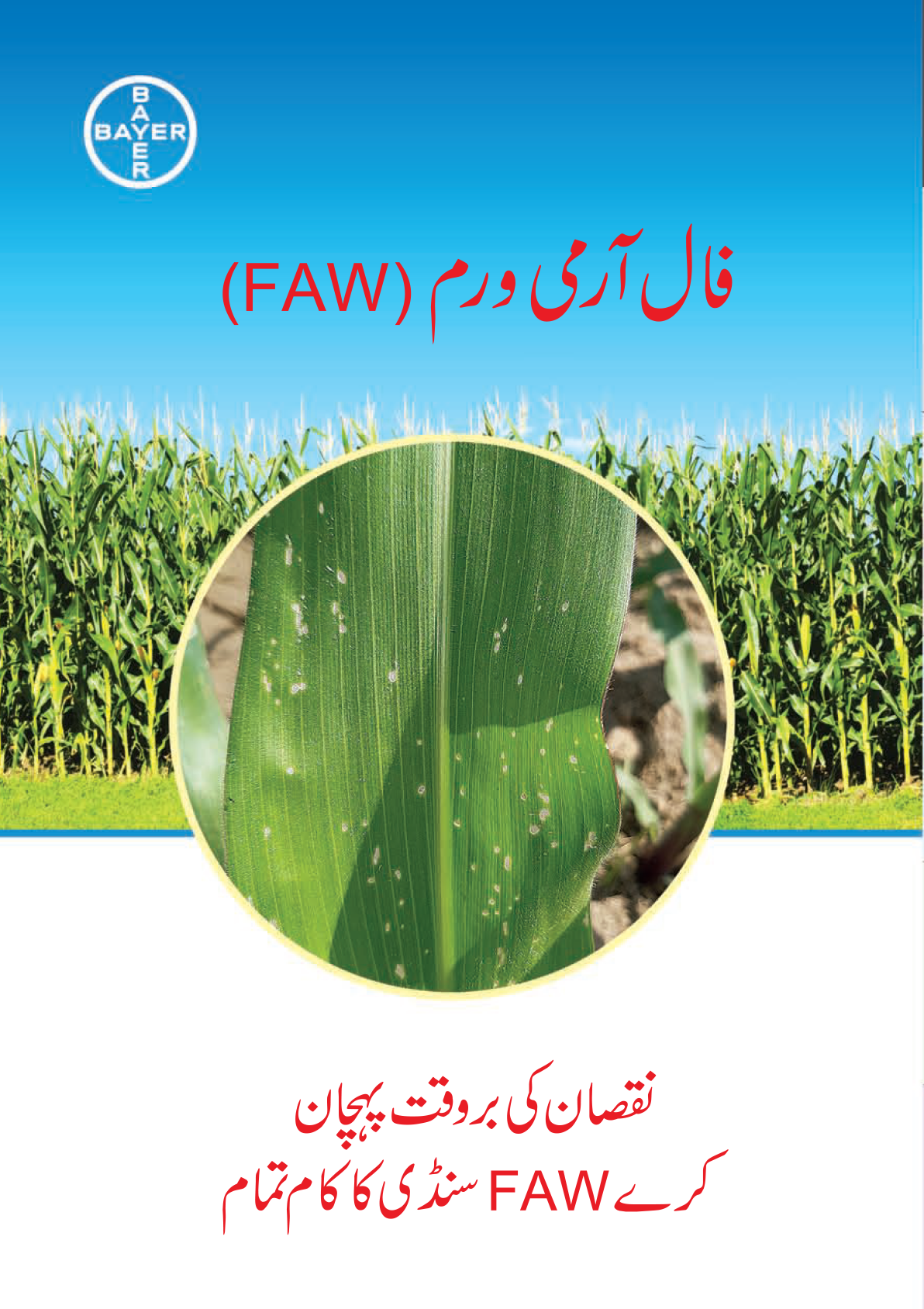 Fall army worm Leaflet bayer