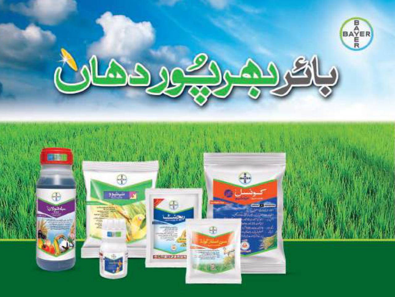 MMR Urdu Booklet 21