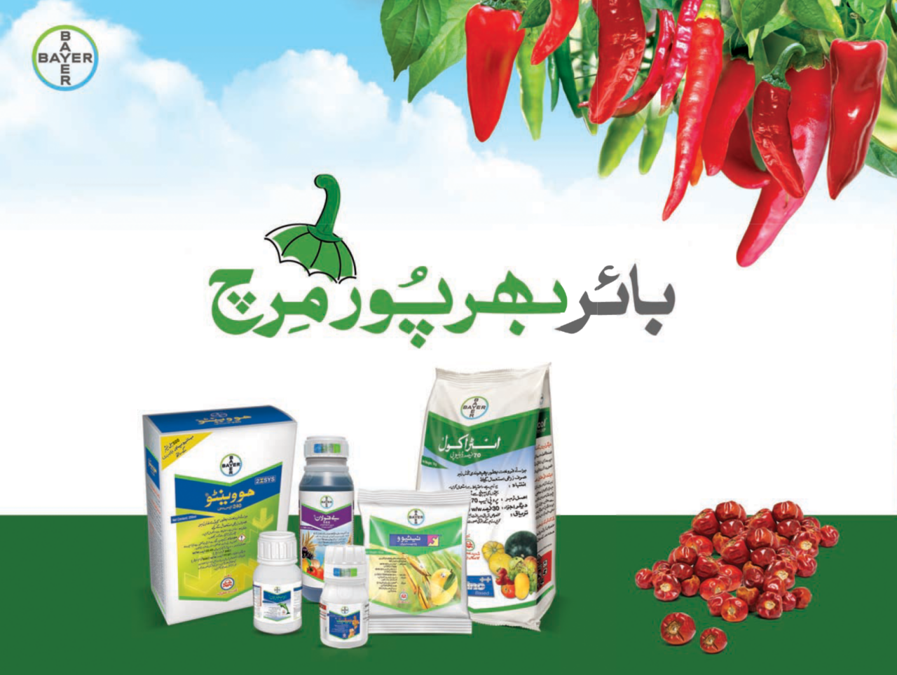 Chillie Urdu Booklet 21