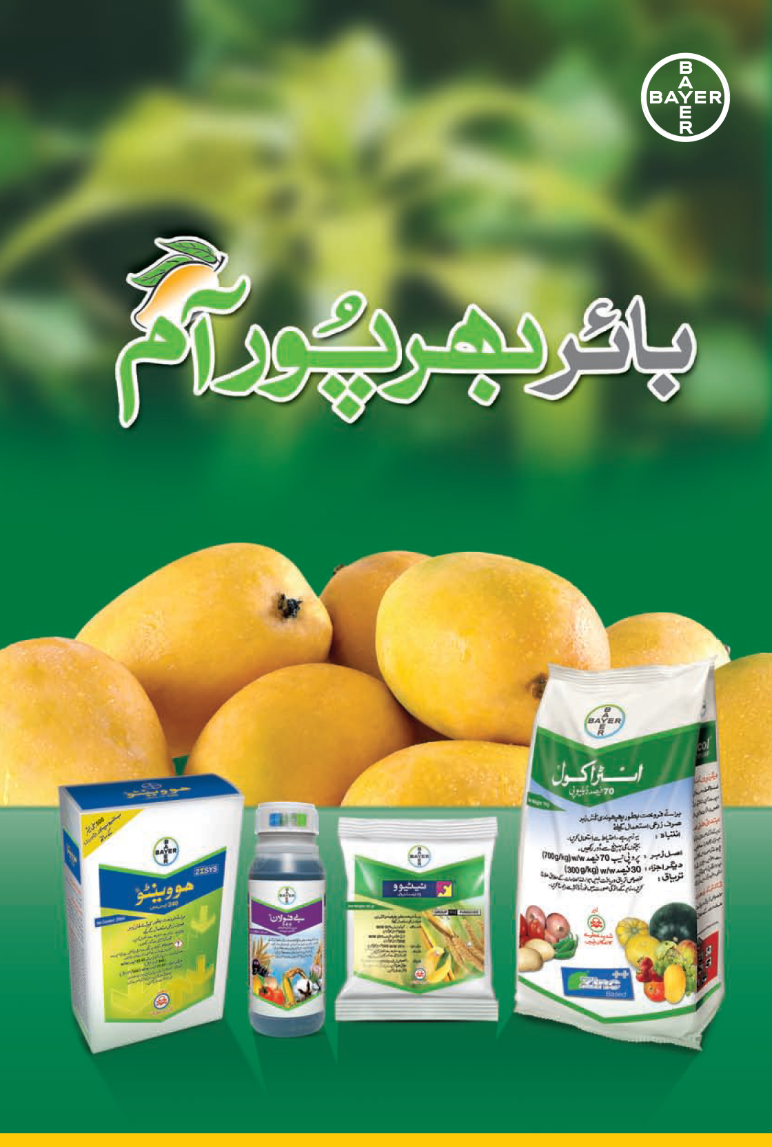 Mango Booklet 2021