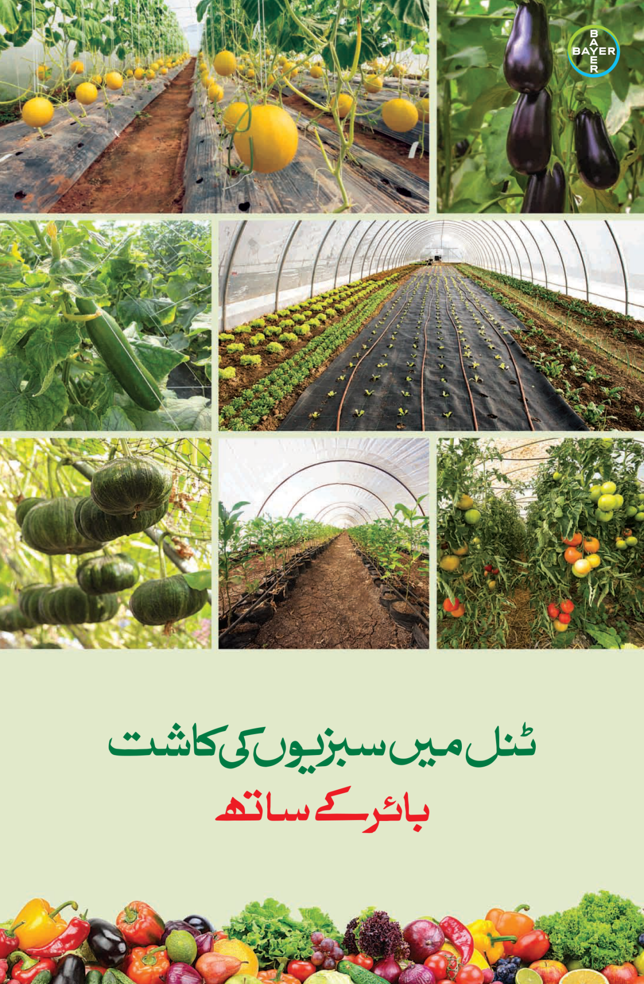 Tunnel Farming