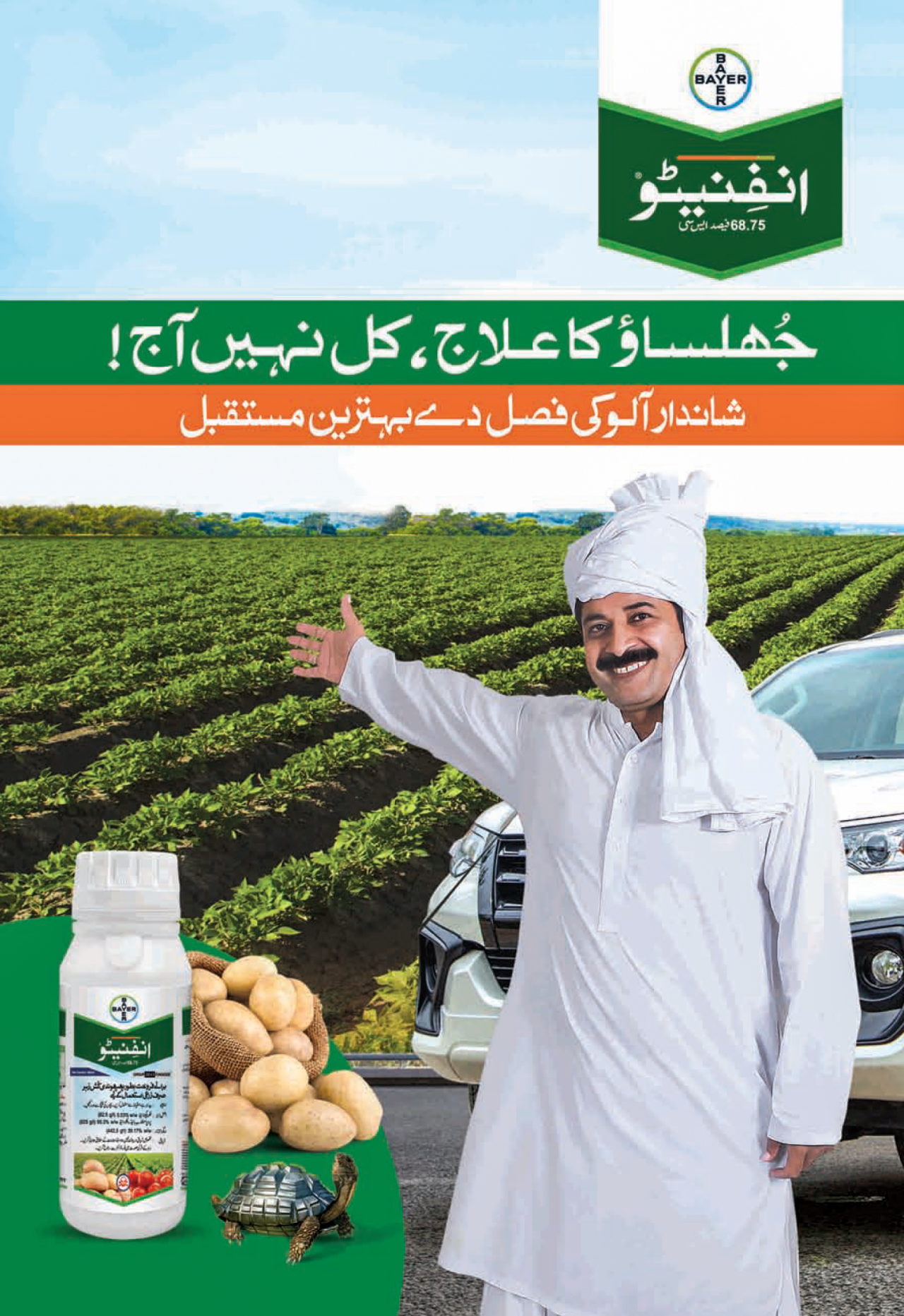 ڈیکالب (DeKalb) مکئی