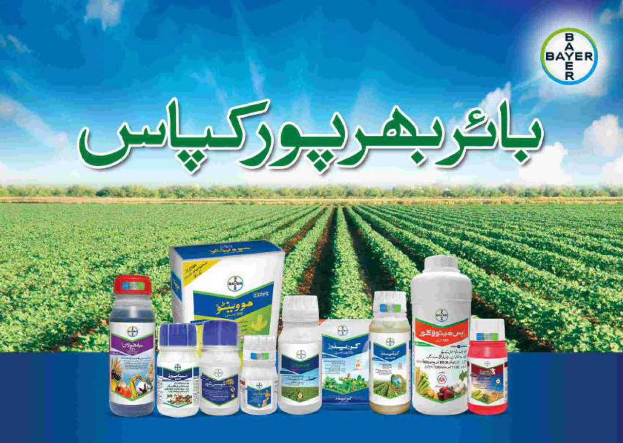 BCP A5 کتابچہ