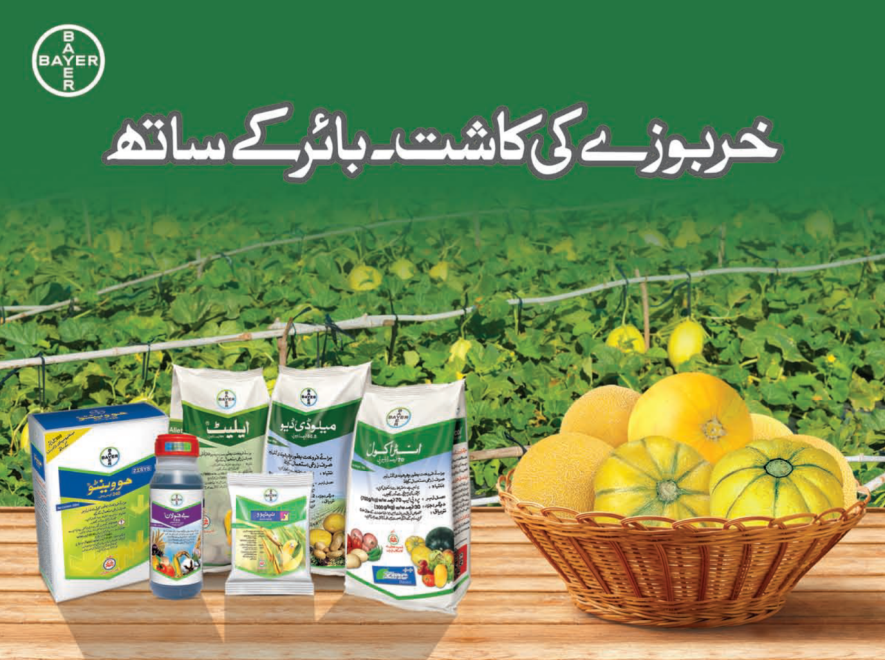 خربوزہ کا کتابچہ 21