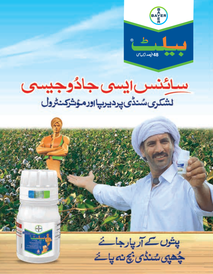 بیلٹ - کپاس کی فصل کے لیے