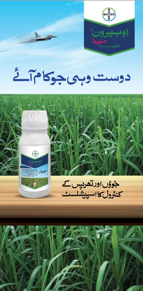 اوبرون اسپیڈ