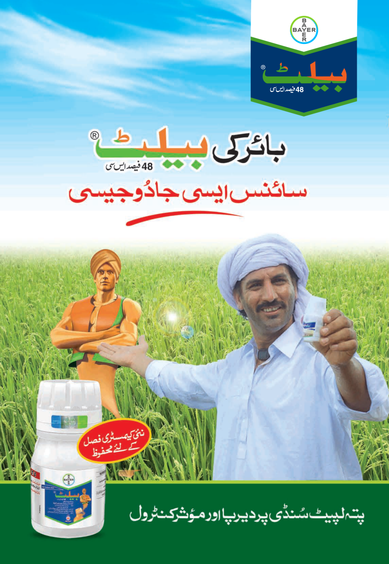 بیلٹ - چاول کی فصل کے لیے