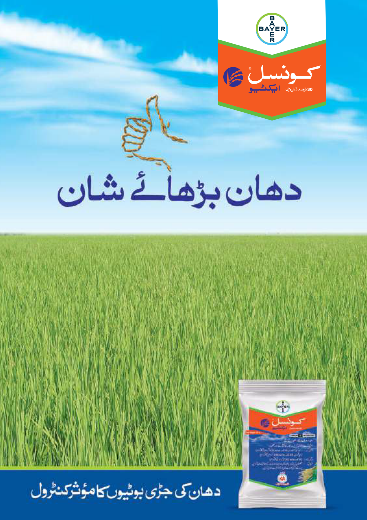 کونسل ایکٹیو 3F فولیئر