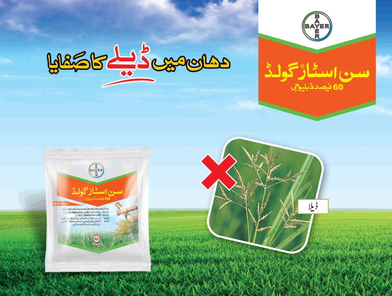 سن اسٹار گولڈ