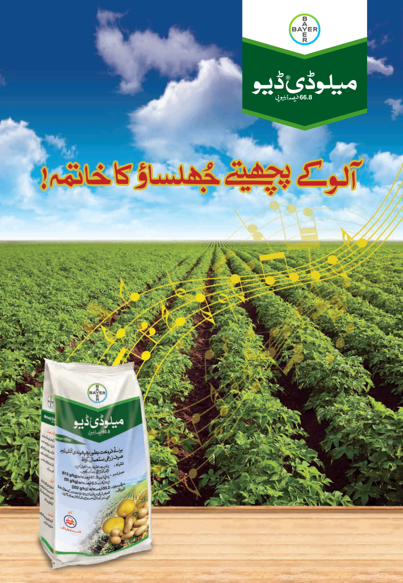 میلوڈی ڈو