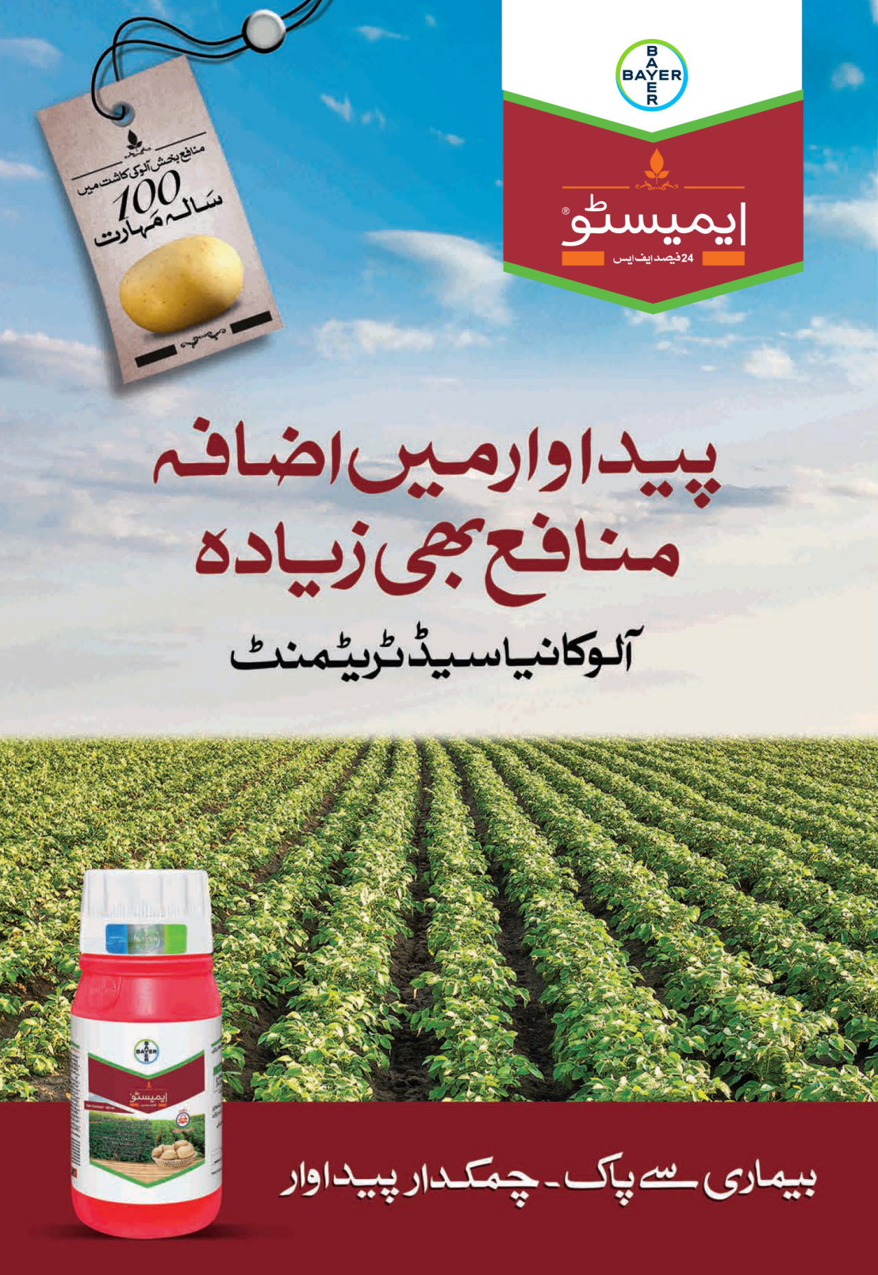 ایمیسٹو آلو